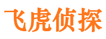 大方市侦探调查公司